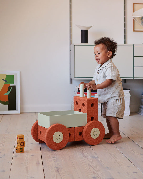 Baby Walker